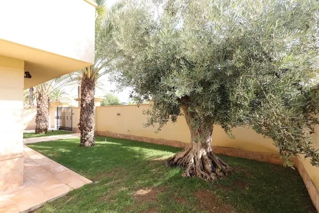 Villa 4 habitaciones 222m² en venta - Cabo Roig — 27