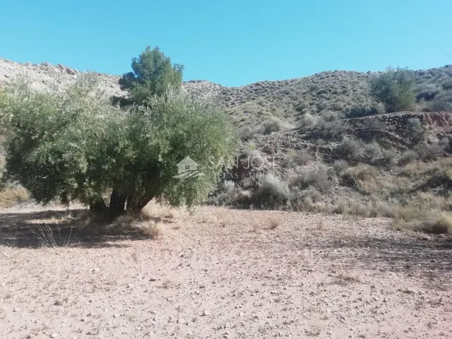 SE VENDE PARCELAMUY CERCA DEL PUEBLO DE MACISVENDA — 12