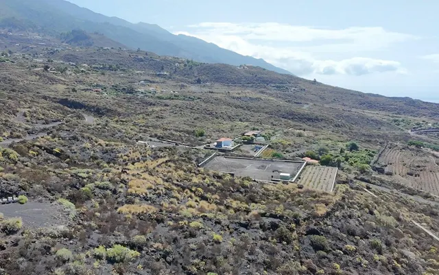 TERRENO RÚSTICO EN LA PALMA — 7