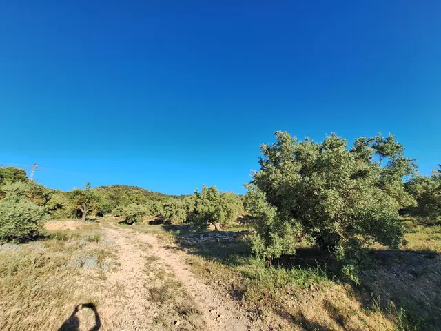 Terreno rústico a solo 3 km de Biar | Posibilidad de construir vivienda y conectar a agua y electricidad — 15