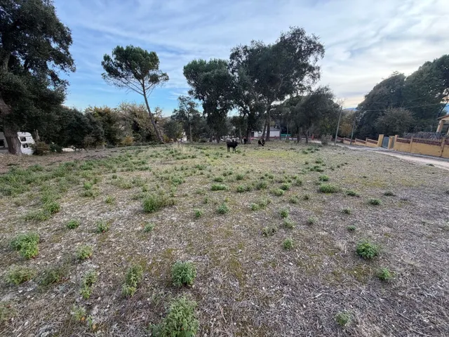 Terreno de 667 m2 en venta – Urbanización Sant Roc, Massanes - foto 3