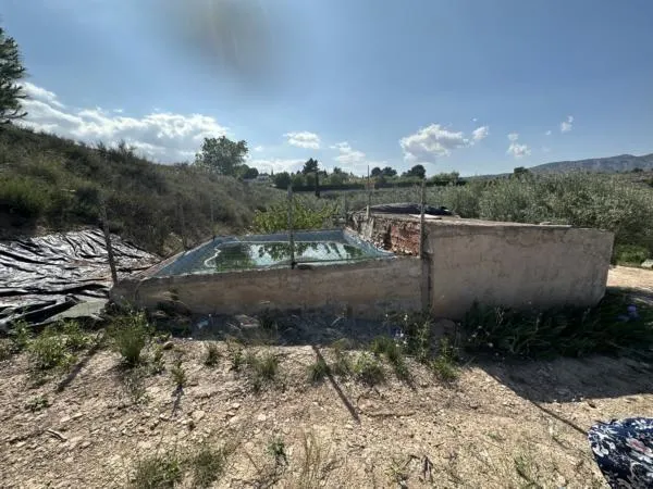 Parcela de terreno Rural cercana al casco urbano — 3
