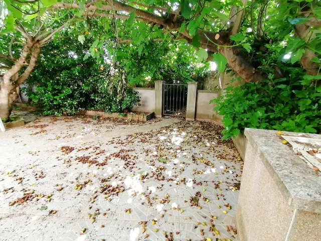 Amplia Casa con Gran Patio en Hinojal Ideal para Reformar -  - foto 4