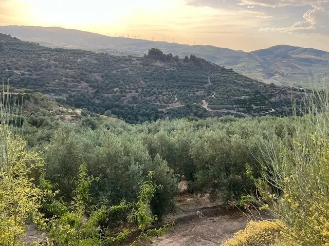 Paraje de los castillos - Restabal - foto 4