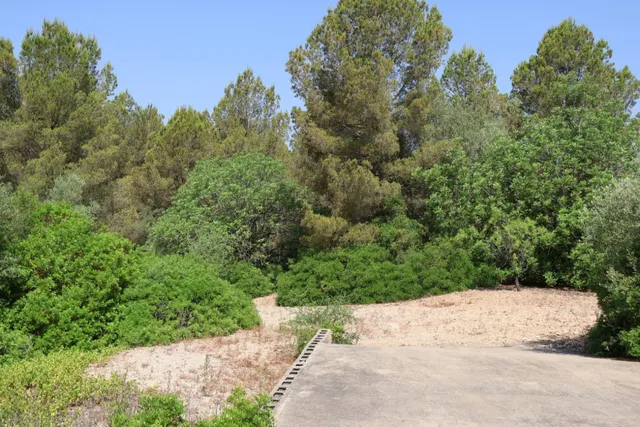 MASIA CON TERRENO, CON VISTAS CERCA DE VALL DALBA — 50