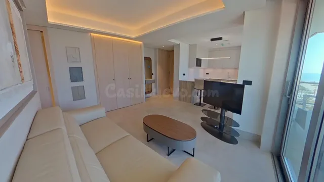 EXCLUSIVO PISO DE 1 DORMITORIO EN LAS MALAGA TOWERS VISION,  - foto 4