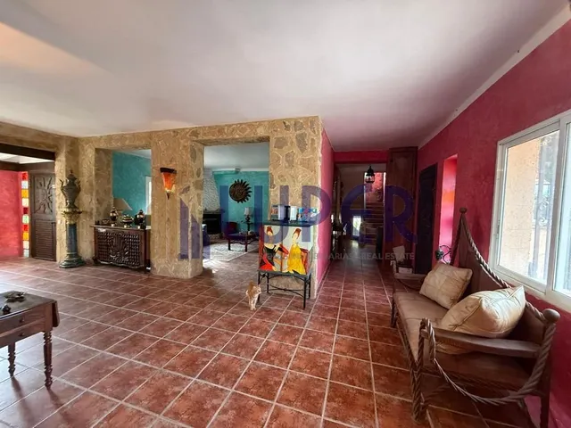 ✨ Una finca única para quienes buscan mucho más que una vivienda, en Alicante Tangel. — 11