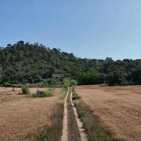 Masía histórica para rehabilitar con 19 hectáreas de terreno – Tossa de Mar — 20