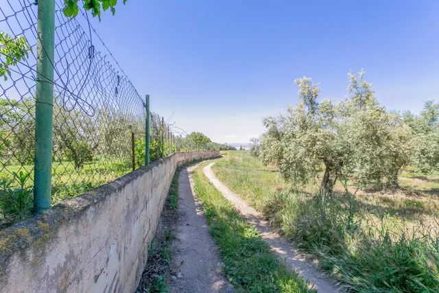 "¡Vive la vida en el campo! Terreno con casa de aperos y cultivos de olivos y frutales en ve — 28