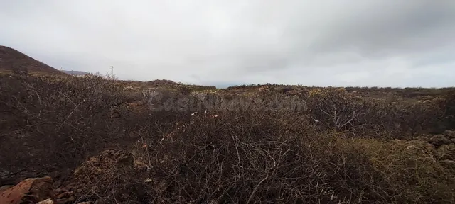 Terreno rústico agrario en Los Cuervos, Granadilla de Abona. - foto 5
