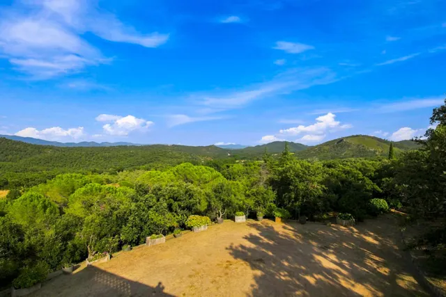 Finca Rustica en venta — 9