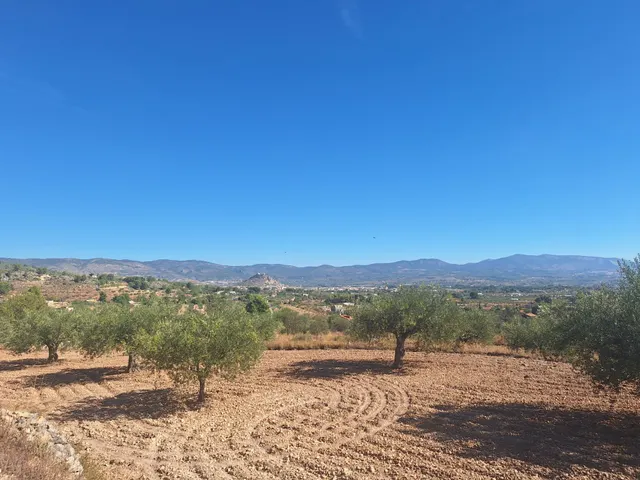 Terreno agrícola con olivos, almendros y vistas al Castillo de Castalla — 17.000 € — 13