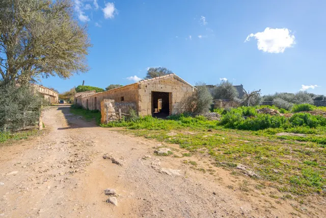 Finca de 124 hectáreas con vivienda en Puigderrós, Llucmajor. — 11