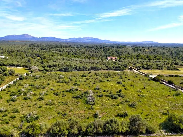 Solar residencial en Venta en Santa Margalida Baleares - foto 3