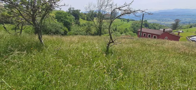 MAGNIFICA PARCELA CON UN HORREO Y CON IMPRESIONANTES VISTAS  - foto 3