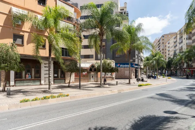 GRAN LOCAL COMERCIAL EN AVENIDA DE SALOBREÑA - foto 2