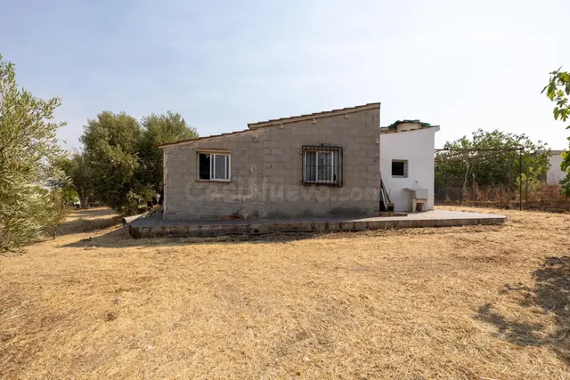 Encanto rústico con casita y olivos en Moraleja de Zafayona — 5