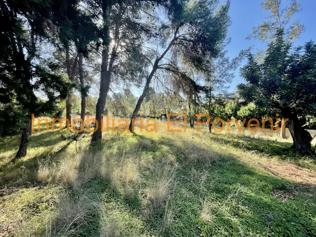 Parcela 3 habitaciones en venta - Santa apolonia - foto 4