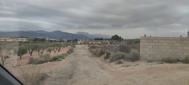 SE VENDEN 5 PARCELAS EN SAX DE 10.000 M2 - foto 3