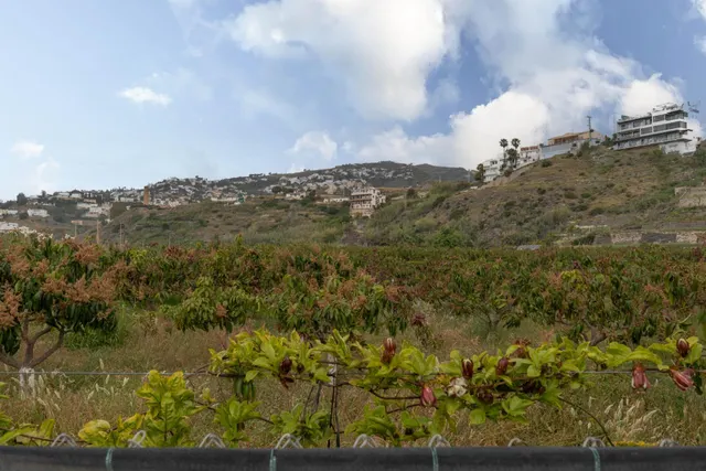 Finca con unas vistas de ensueño en Salobreña — 5