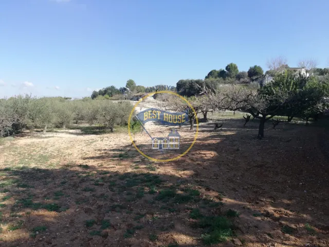 TERRENO AGRICOLA EN ONTINYENT — 5