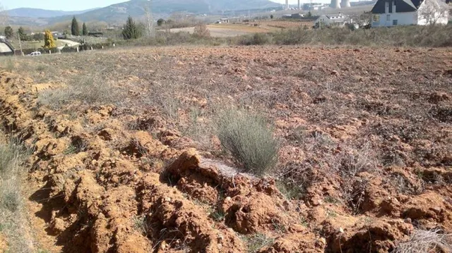 SE VENDE FINCA RUSTICA DE 3200 m2 - foto 2