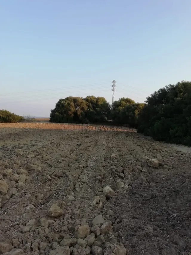 FINCA RÚSTICA EN LA ZONA DEL ABEJARUCO - foto 3