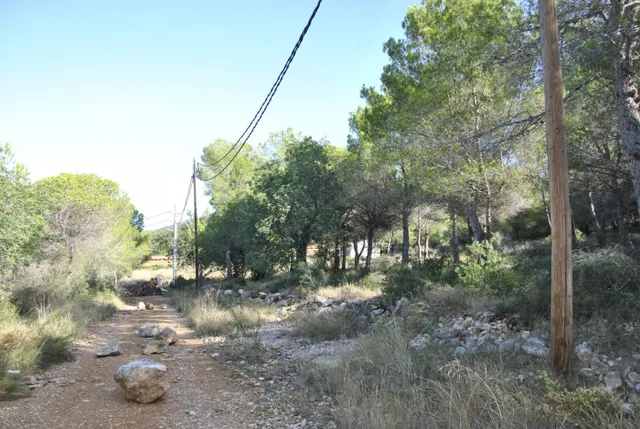 Parcela Rústica en el municipio de Cubelles, 5.560 mts2 Corral d'en Cona — 18