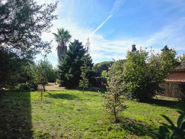 Casa a quatre vents — 49
