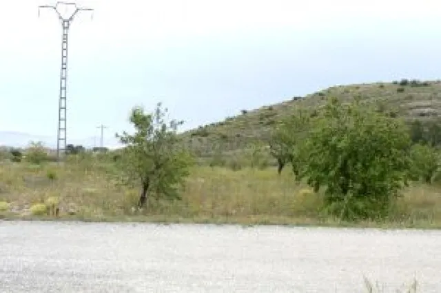Terreno rural en venta - MONOVAR RURAL - foto 3