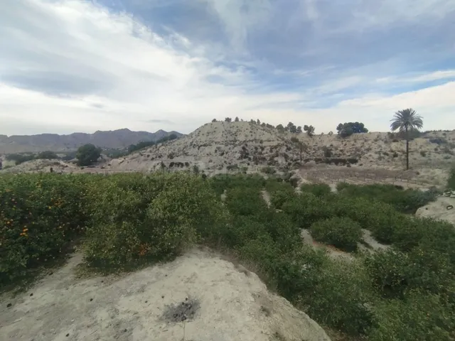 ¡Descubra una oportunidad única en el corazón del Valle de R
