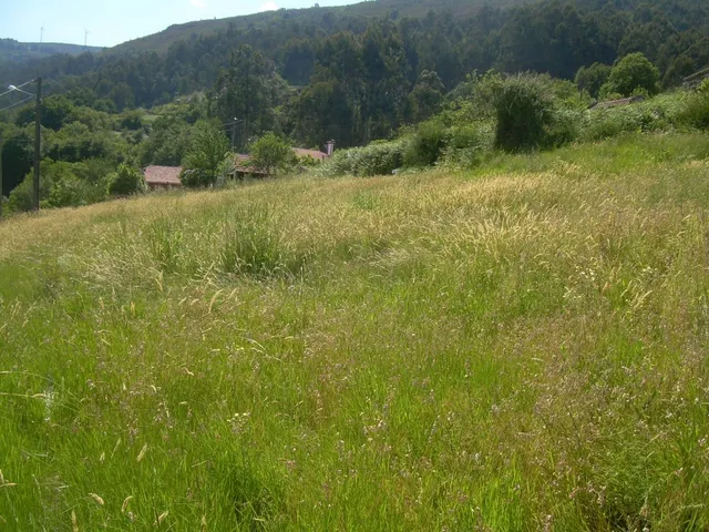 Casa para restaurar — 17
