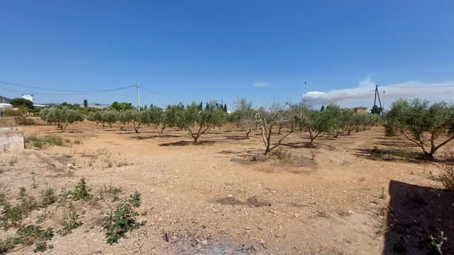 Tu Refugio Natural a un Paso de la Ciudad: ¡Transforma y Crea! — 33