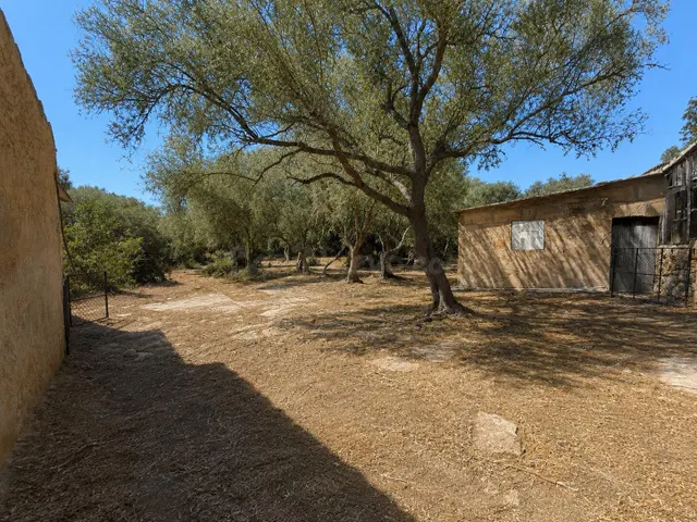 FINCA RUSTICA A REFORMAR EN COSTITX - foto 4