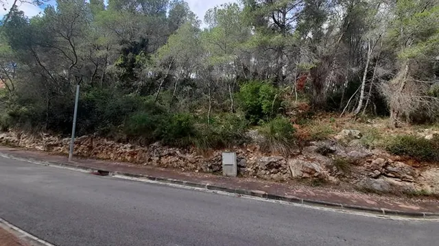 Parcela urbana consolidada en Mas Alba, Sant Pere de Ribes — 5