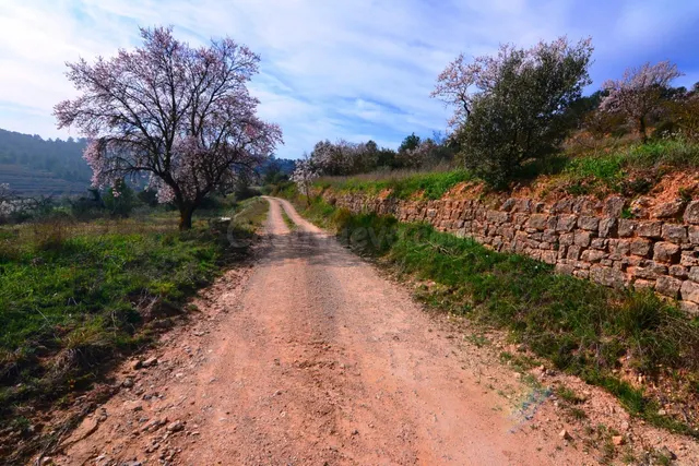 OPORTUNIDAD FINCA DE RIEGO CON PEQUEÑA construcción EN LA FA - foto 2