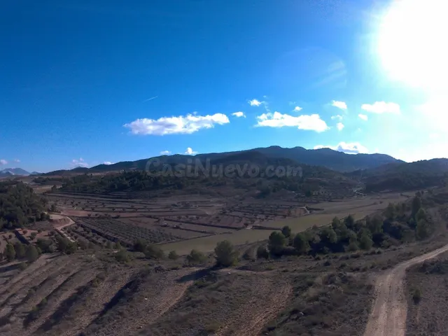 Parcela en venta - Jumilla - foto 4