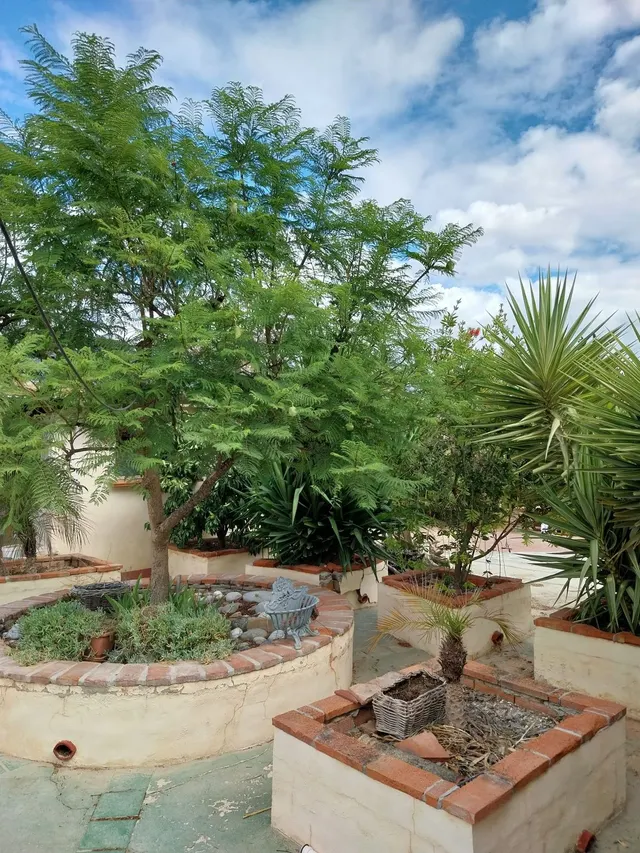 Finca rústica 3 habitaciones 90m² en venta - Costa del Sol — 12