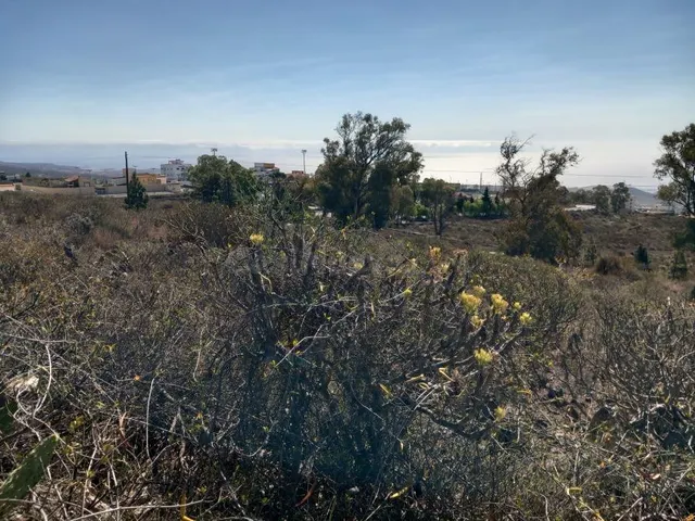 Bonito terreno en zona las Chozas, Granadilla de Abona - foto 2