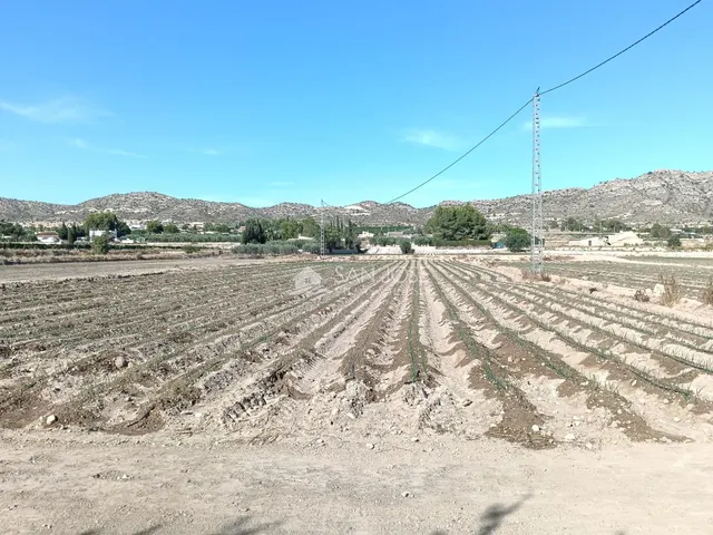 SE VENDE CHALET EN BUEN ESTADO EN ASPE ZONA CARRETERA DE LA ROMANA — 21