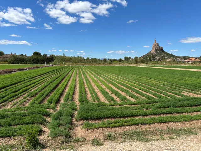 PARCELA URBANA EN VRDA DE LA CUEVA MONTEAGUDO — 3