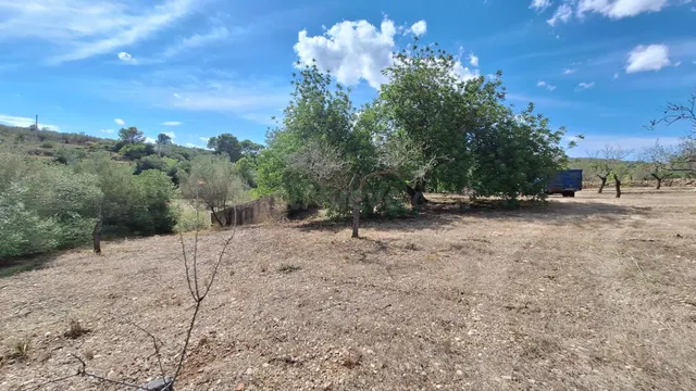 Finca rústica con encanto cerca de El Perelló – 23.000 m2 de naturaleza y tranquilidad — 5