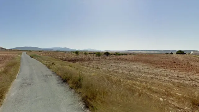 VENTA FINCA CULTIVO EN ZARZILLA DE RAMOS - foto 2