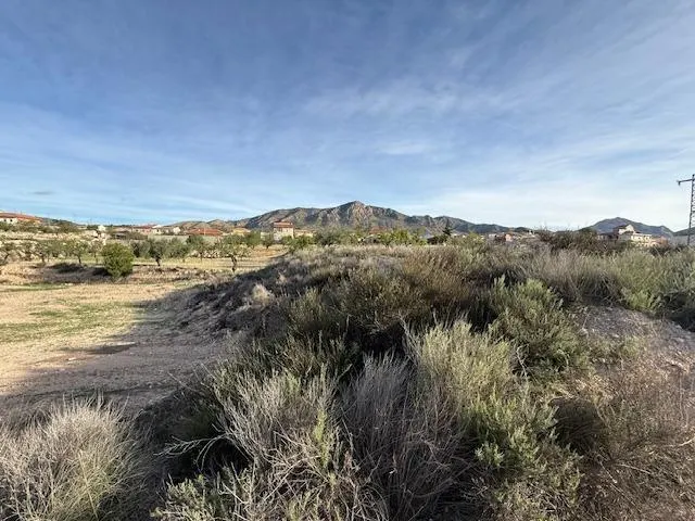 Venta  de terreno en Barinas (Abanilla) — 7