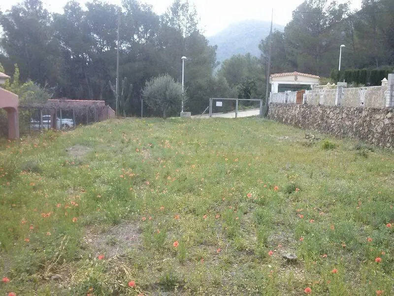 Solar situado en marxuquera