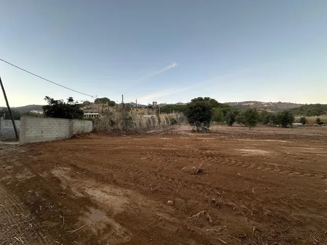 SE ALQUILA TERRENO AGRÍCOLA - foto 3