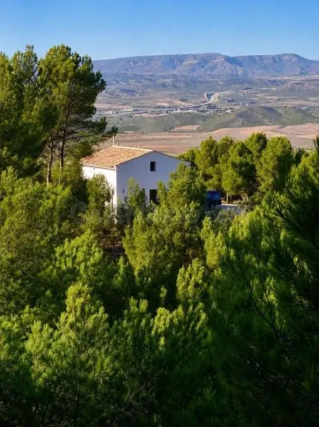 Villa 3 habitaciones 120m² en venta - Las Virtudes — 2