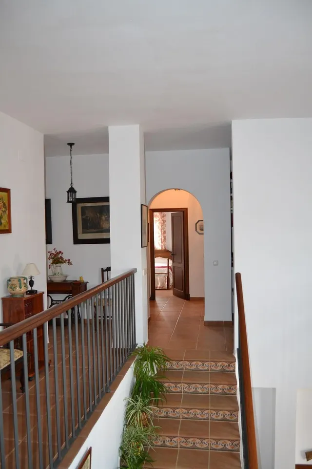 FINCA DE RECREO CON 14 HECTAREAS EN ARCOS DE LA FRONTERA — 39