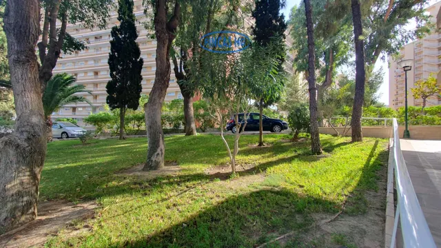 Amplio piso con tres dormitorios en playa de san juan — 38