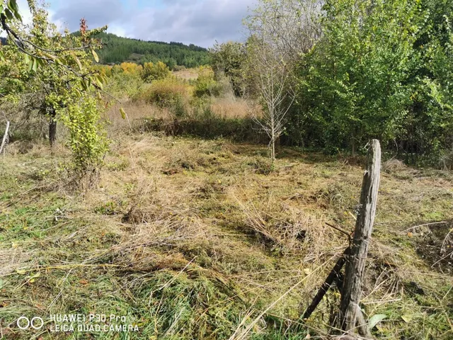 CASA CON TERRENO PARA REFORMAR EN ARGANZA — 5